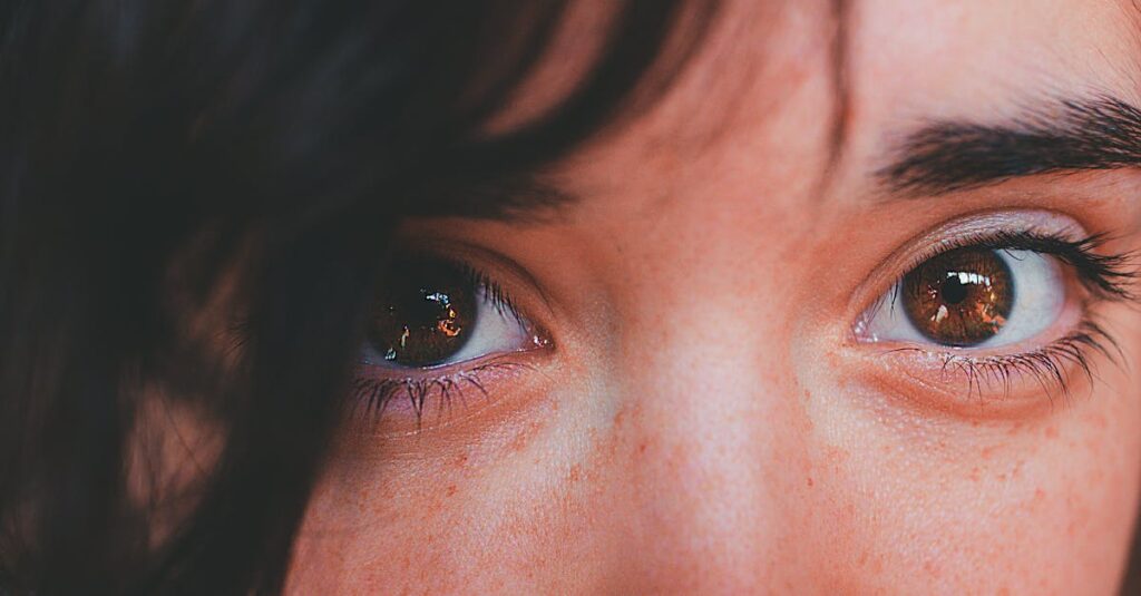 有料プランで使える拡張機能を比較している画面