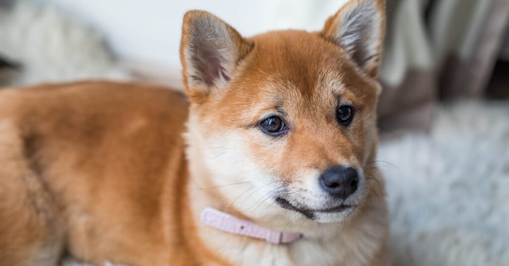 TECH OFFERのスカウトを通じて自分の適職や新しい可能性に気づいた理系学生の体験談