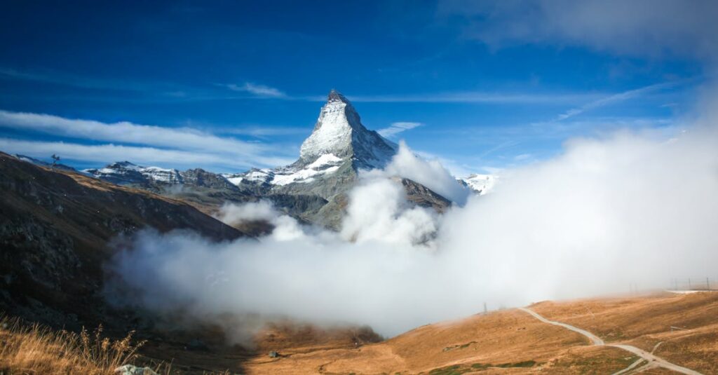 PayPayとTOSSYの機能の違いを比較するイメージ図