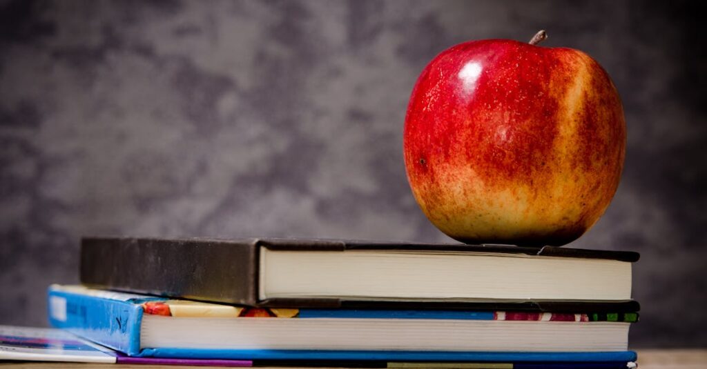 英語学習で成功した人に共通する習慣やパターンを示す図解イメージ。