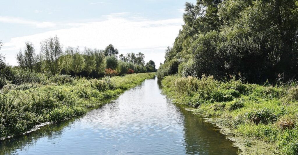 ENGLEADと他社英語コーチングの成果を比較するグラフやレビューのイメージ。