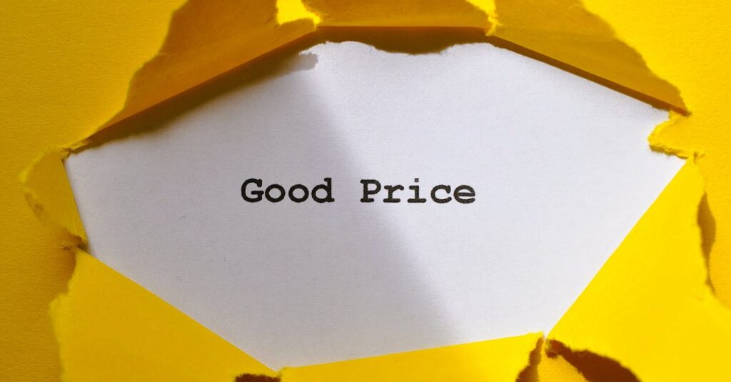 低コストとブランド力の両立を実現するための戦略的なバーチャルオフィス活用イメージ