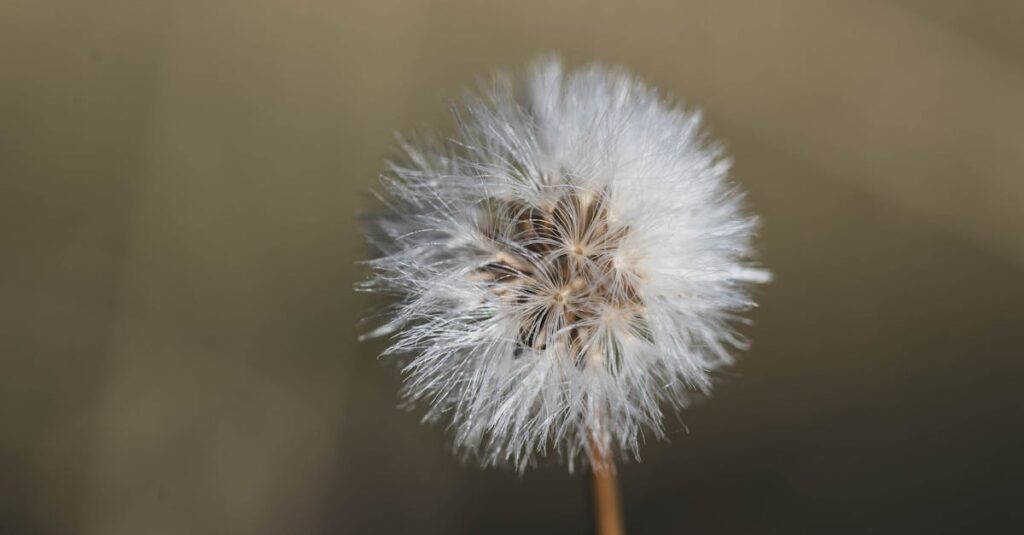 英語を話す量を増やしたことで大きな成果と変化を得た人物のイメージ