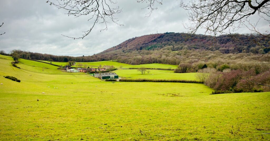 英語学習によって人生が変わる様子を描いたシンボリックなビジュアル