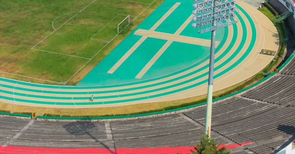 英語学習の成長をグラフやチャートで可視化している画面のイラスト