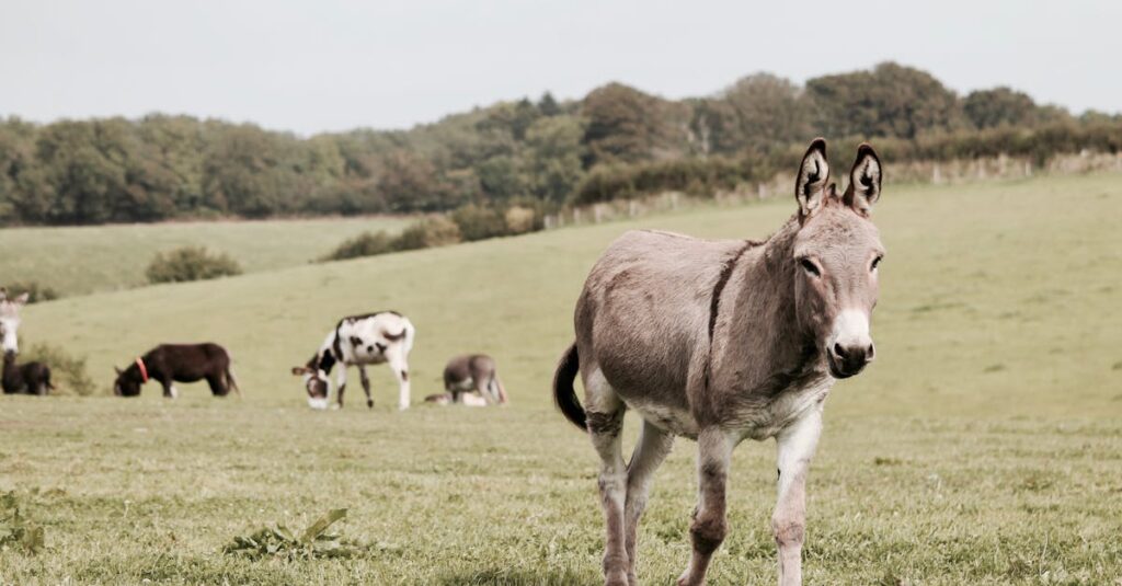 英語を知識ではなく行動として習得していく様子