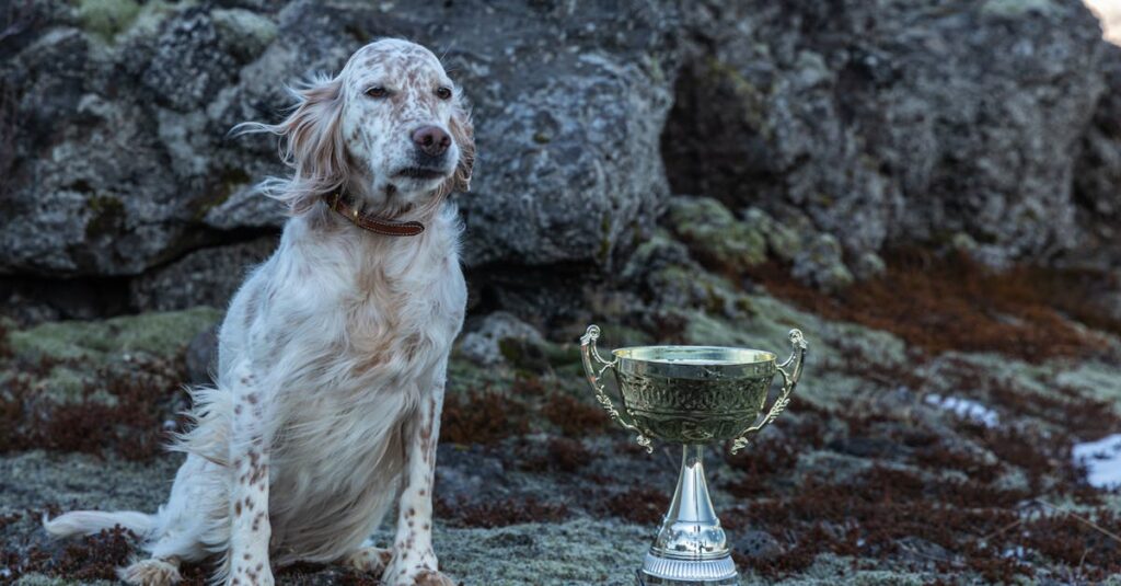 1年後に英語を話せるようになった自分を想像する成功イメージ
