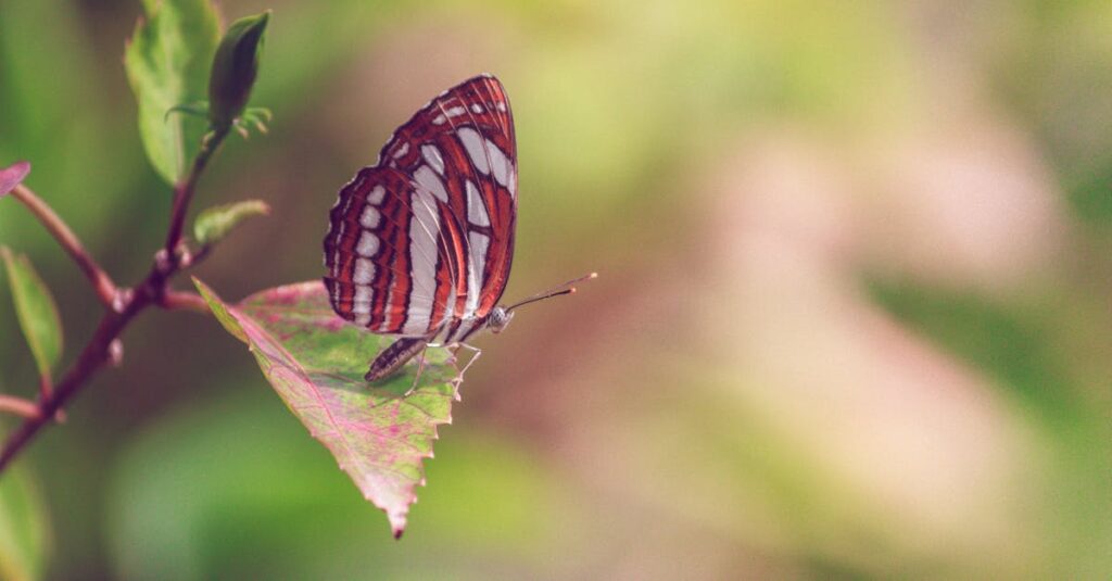 無料で使えるネットショップ機能のリストと画面イメージ