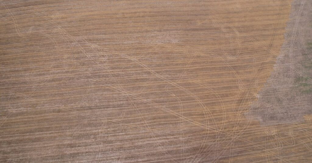 Epop英語学習アプリの紹介画面とキャラクター